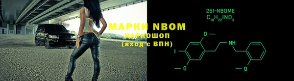 прущие грибы Волосово