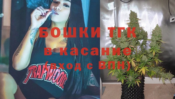 прущие грибы Волосово