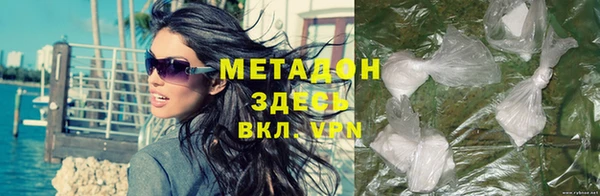 прущие грибы Волосово