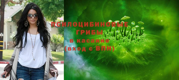 прущие грибы Волосово